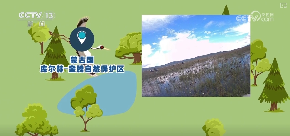 空中第一视角绝美！跟着“摄影师”白枕鹤“蒙蒙”饱览生态之美(图10)