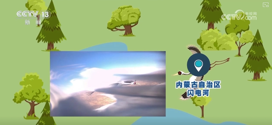 空中第一视角绝美！跟着“摄影师”白枕鹤“蒙蒙”饱览生态之美(图11)
