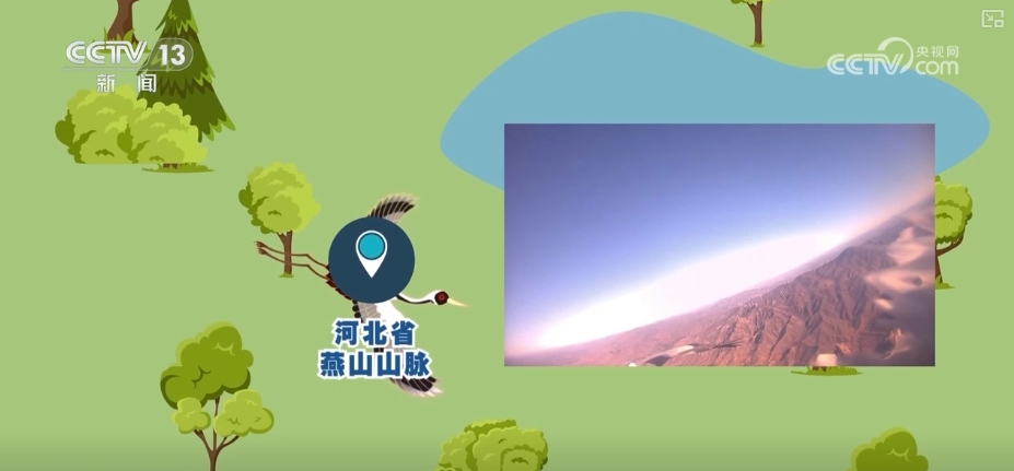 空中第一视角绝美！跟着“摄影师”白枕鹤“蒙蒙”饱览生态之美(图12)