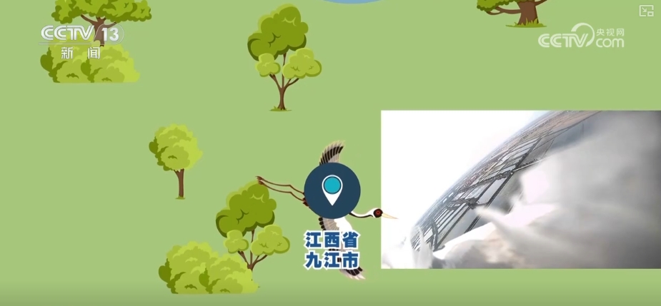 空中第一视角绝美！跟着“摄影师”白枕鹤“蒙蒙”饱览生态之美(图15)