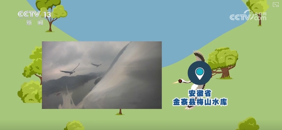 空中第一视角绝美！跟着“摄影师”白枕鹤“蒙蒙”饱览生态之美(图14)