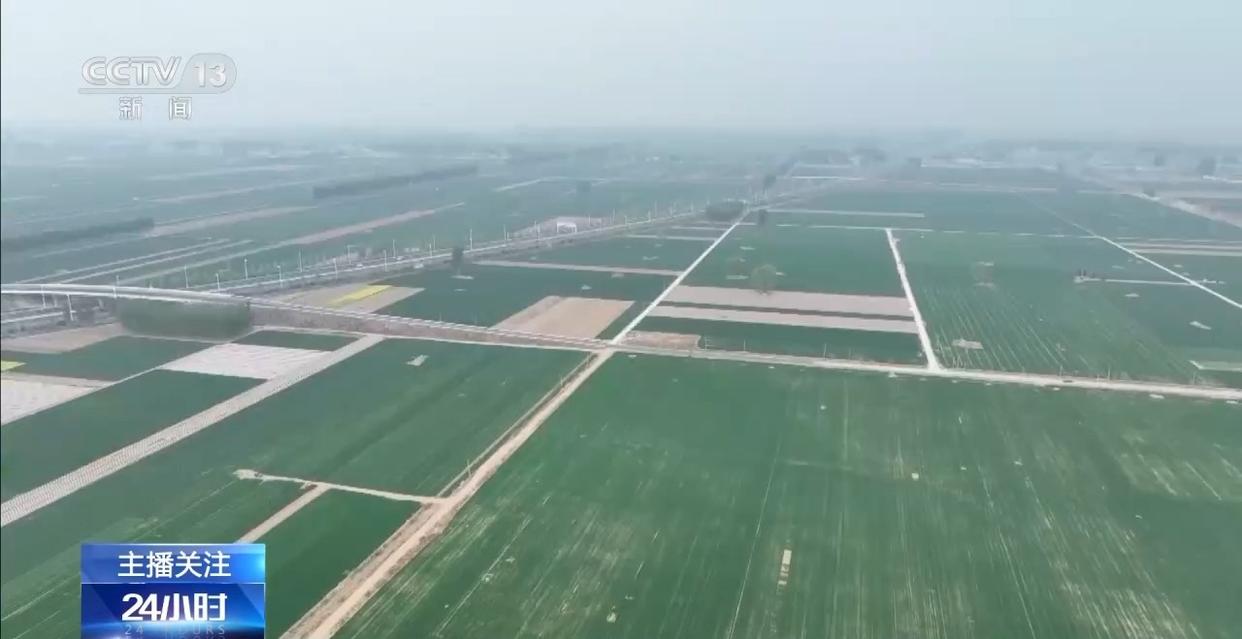 春意浓农事兴 多地春耕春播有序进行中(图9)