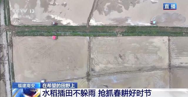 北斗导航智能农机遍地跑 各地早稻插秧进行时
