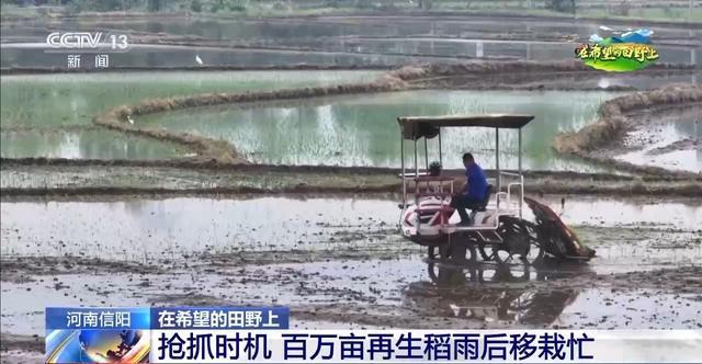 北斗导航智能农机遍地跑 各地早稻插秧进行时(图4)